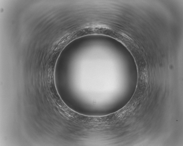 X0000059061014200510101043