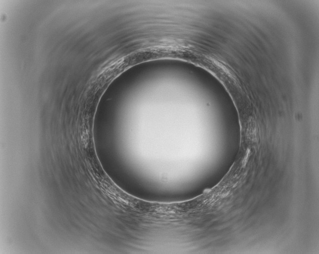 X0000059061015200510101043