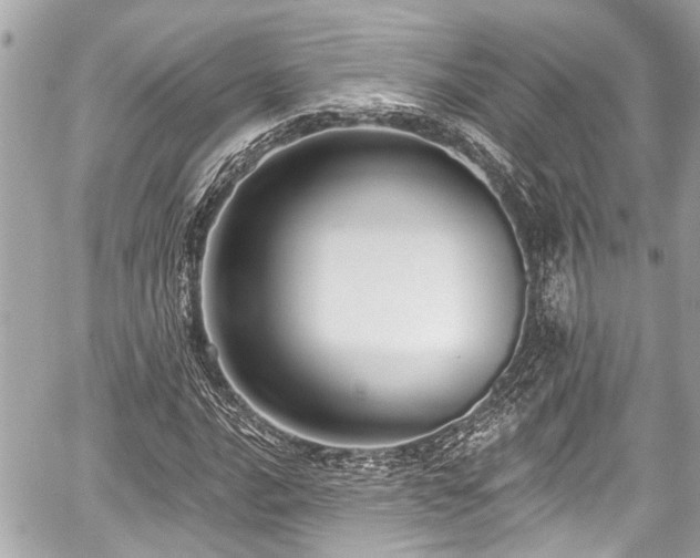 X0000059061016200510101043