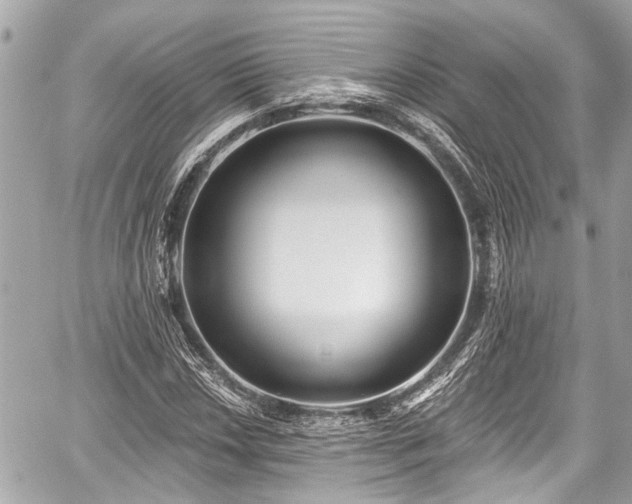 X0000059061018200510101043