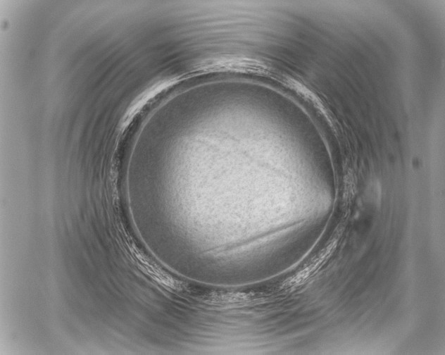 X0000059061019200510101043