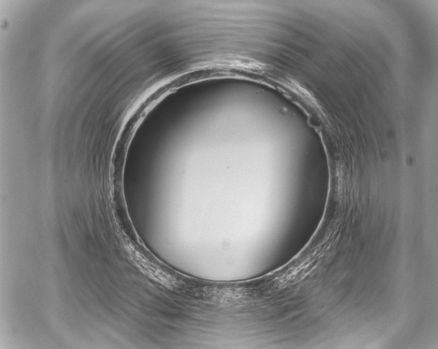 X0000059061020200510101043