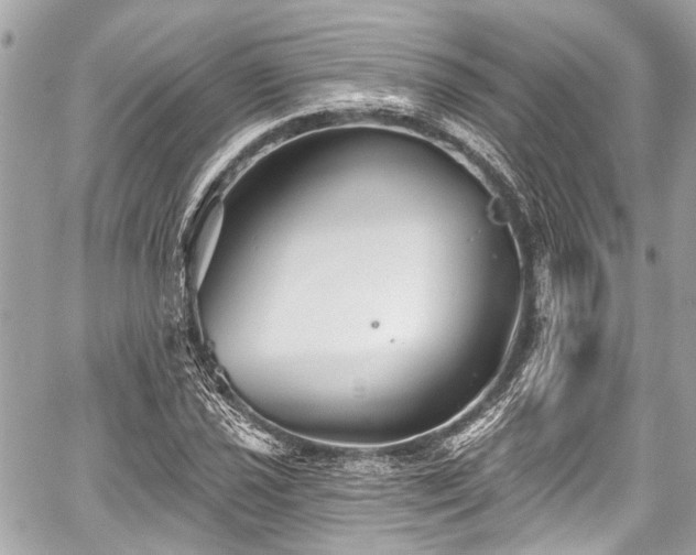 X0000059061021200510101043