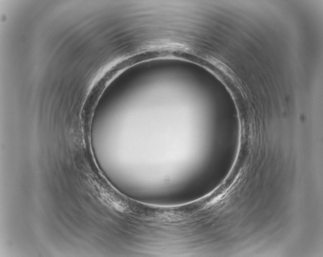 X0000059061022200510101043