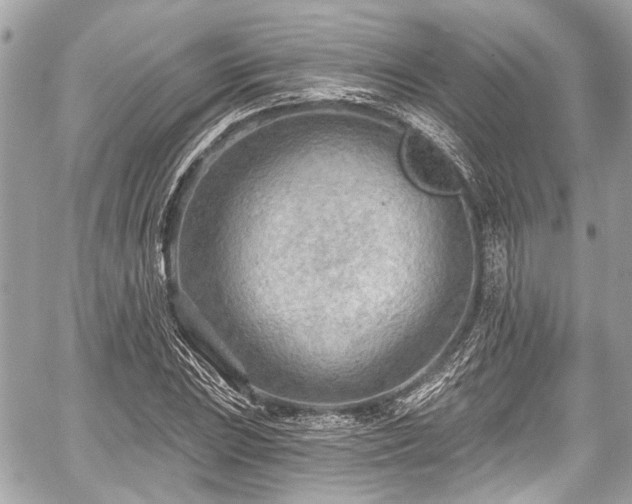 X0000059061023200510101043