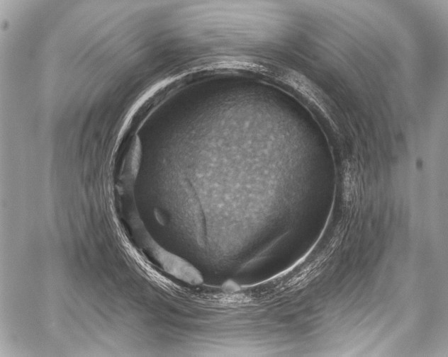 X0000059061024200510101043