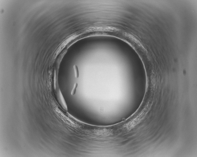 X0000059061025200510101043