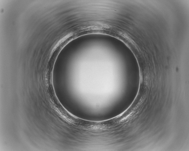 X0000059061026200510101043