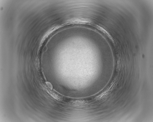 X0000059061027200510101043