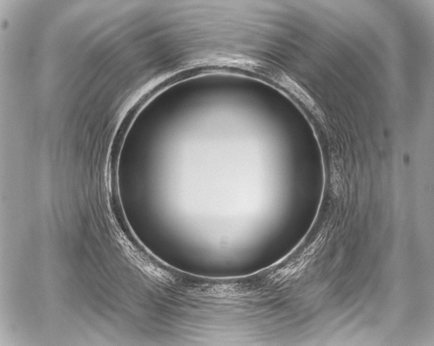 X0000059061028200510101043