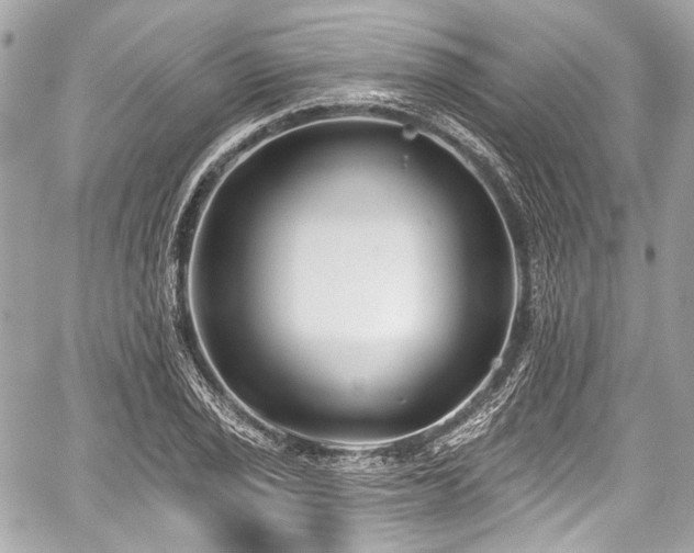 X0000059061029200510101043