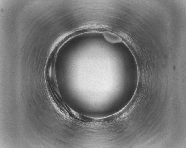 X0000059061030200510101043