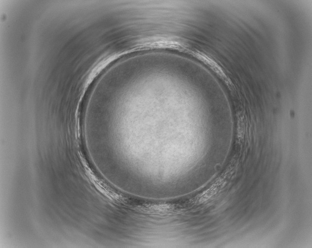 X0000059061031200510101043