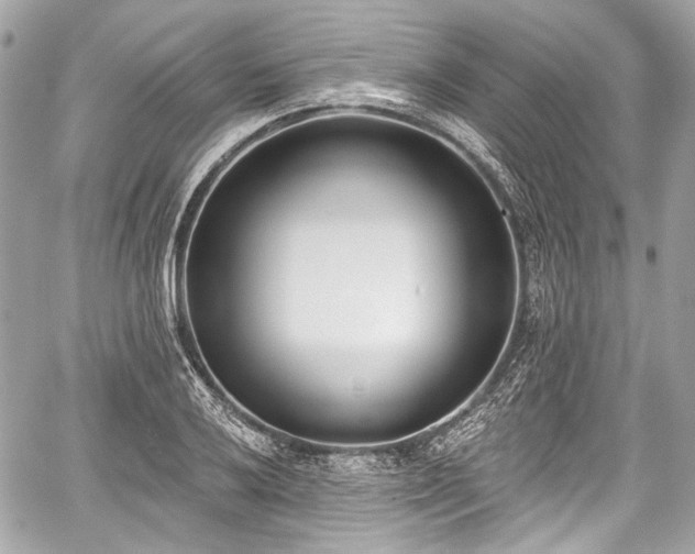 X0000059061032200510101043