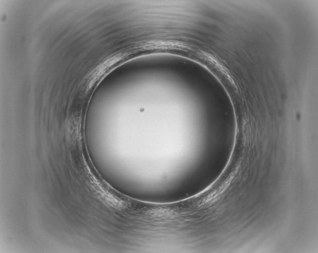 X0000059061033200510101043