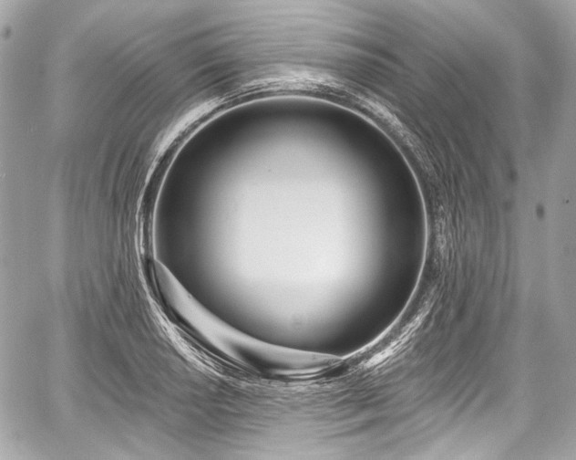 X0000059061034200510101043