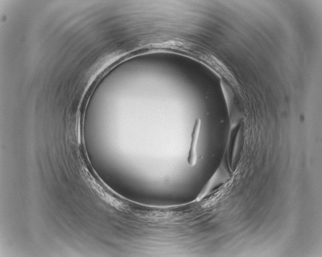 X0000059061036200510101043