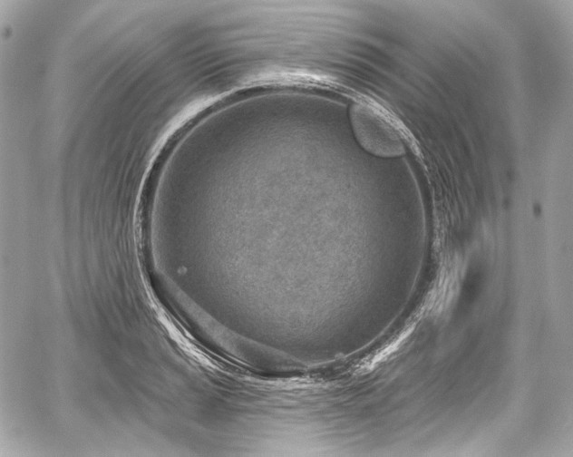 X0000059061037200510101043