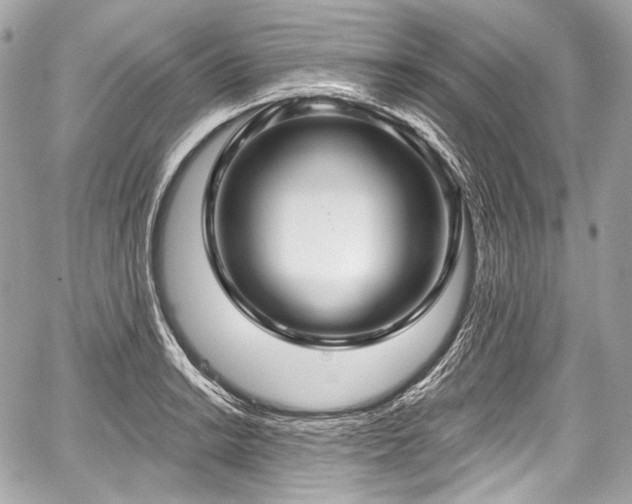 X0000059061038200510101043