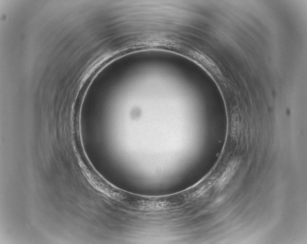 X0000059061039200510101043