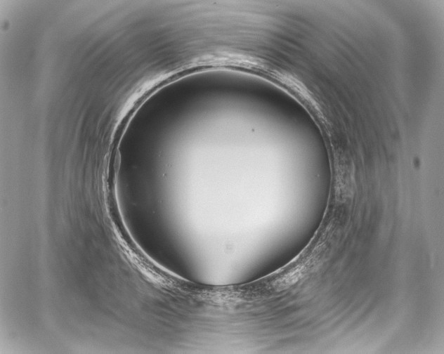 X0000059061040200510101043