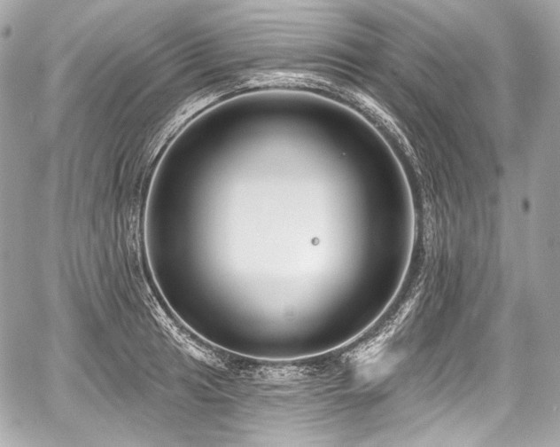 X0000059061041200510101043