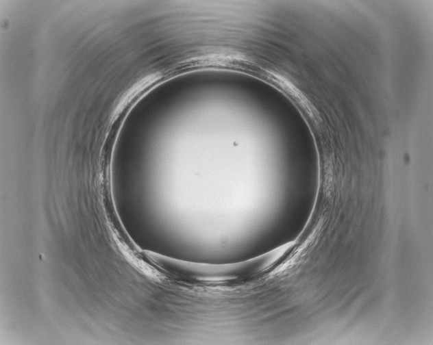 X0000059061042200510101043