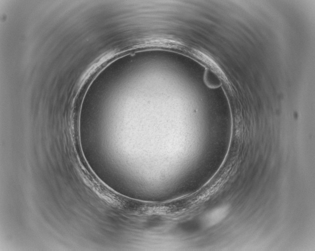 X0000059061043200510101043