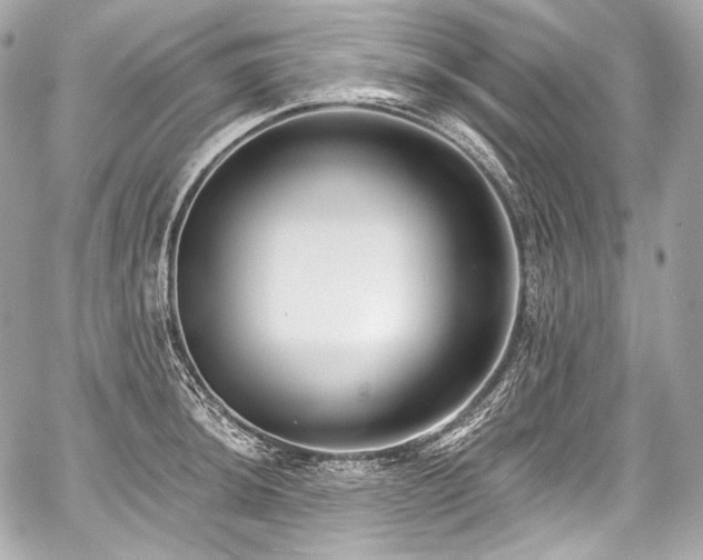 X0000059061044200510101043