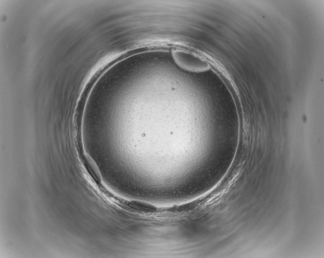 X0000059061045200510101043