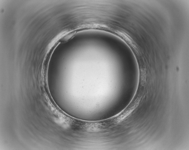 X0000059061046200510101043