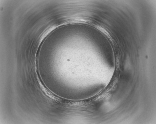 X0000059061047200510101043