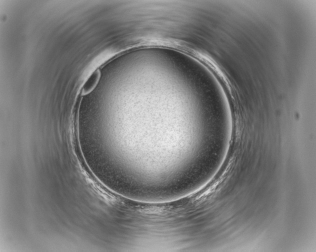 X0000059061048200510101043