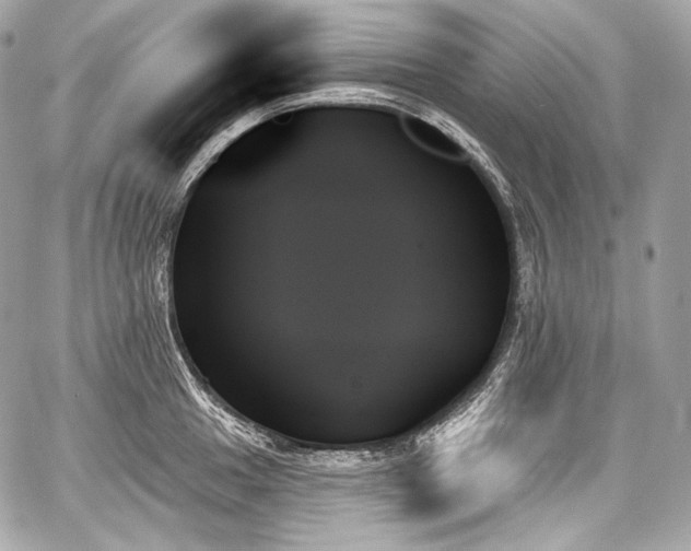 X0000059061049200510101043