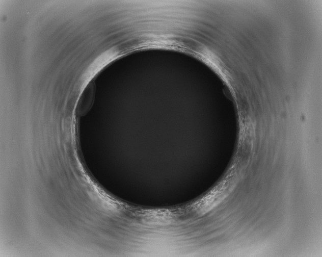 X0000059061050200510101043