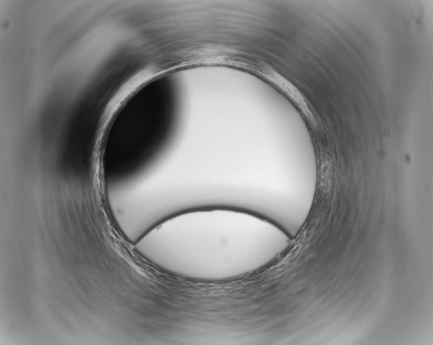 X0000059061051200510101043