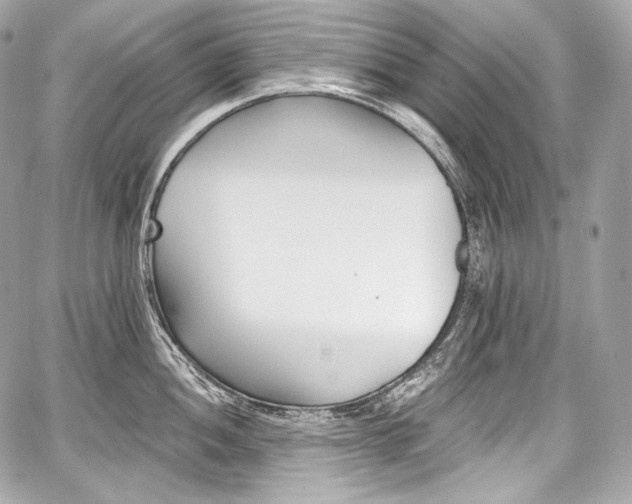 X0000059061052200510101043