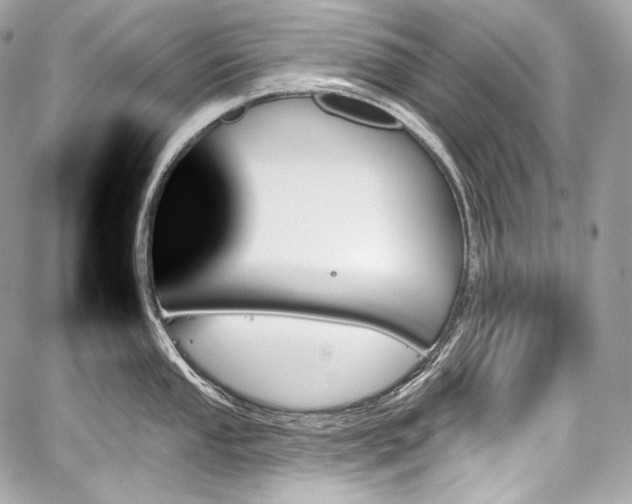 X0000059061053200510101043