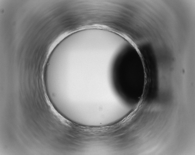 X0000059061054200510101043