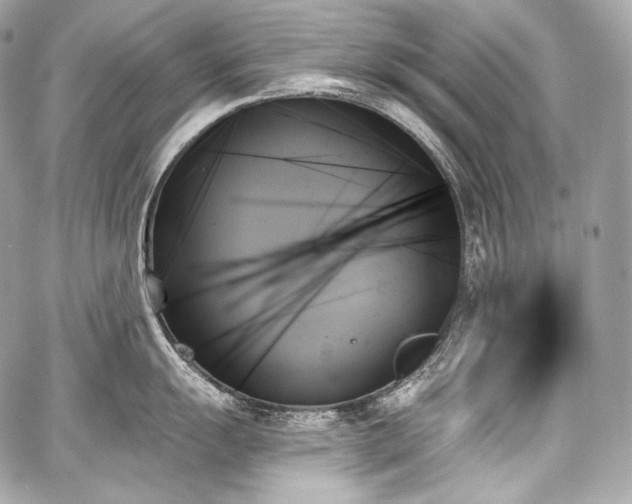 X0000059061055200510101043