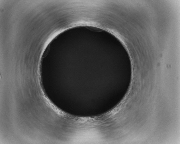 X0000059061056200510101043