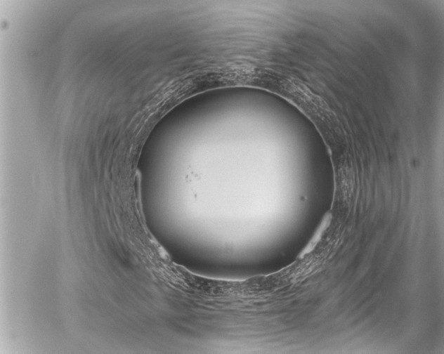 X0000059061057200510101043