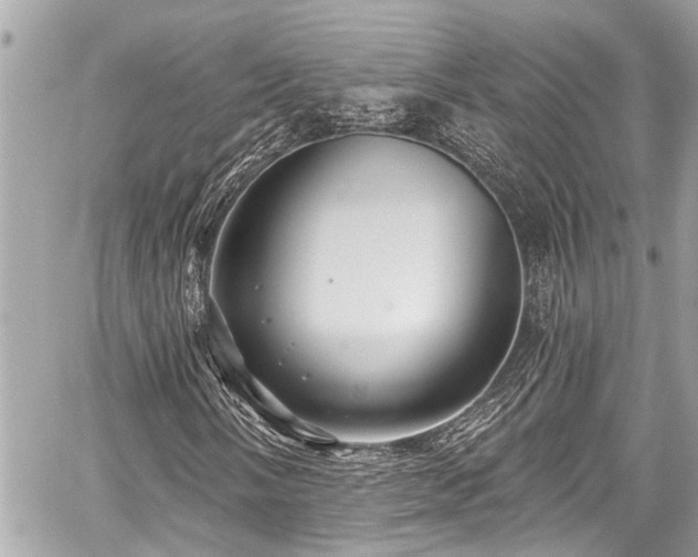 X0000059061058200510101043