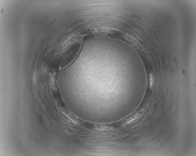 X0000059061059200510101043