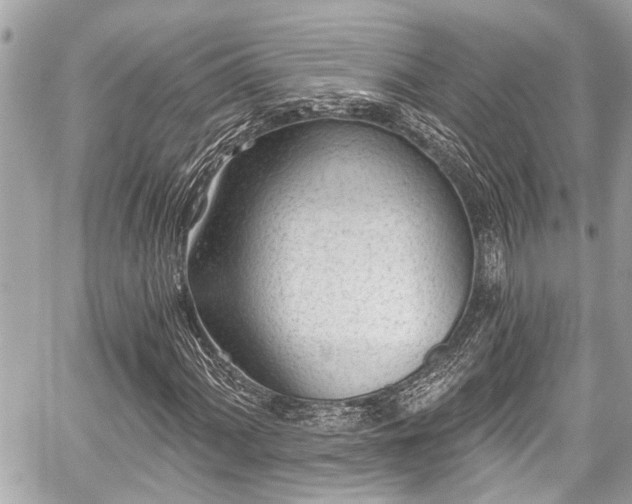 X0000059061060200510101043