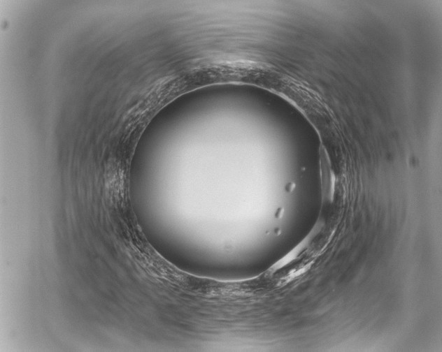 X0000059061061200510101043