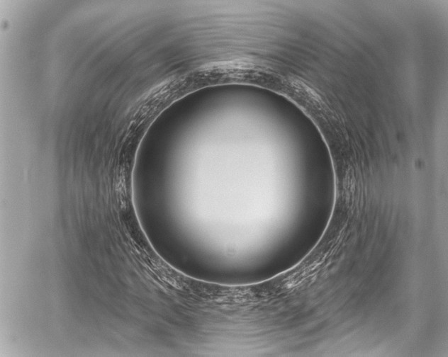 X0000059061062200510101043