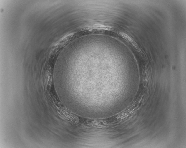 X0000059061063200510101043