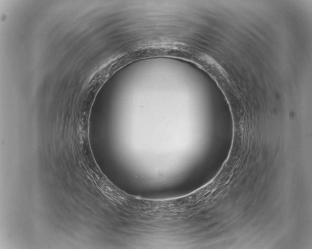 X0000059061064200510101043