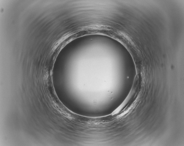 X0000059061065200510101043